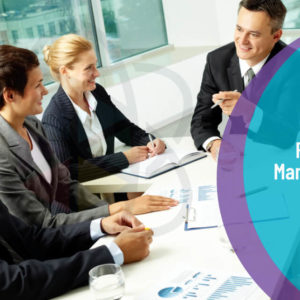 PMP Project Management Bundle Course