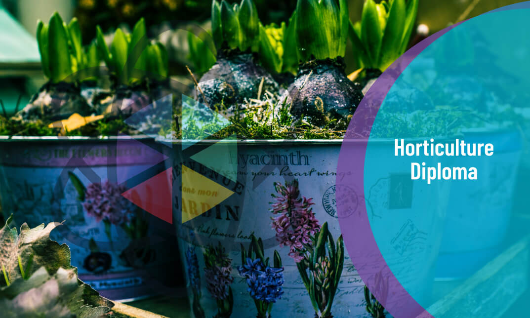 Diploma in Horticulture