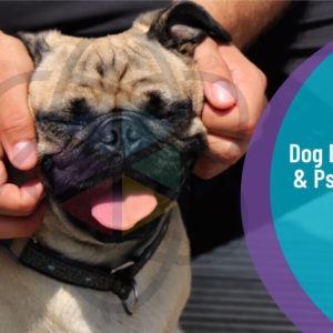 Dog Behaviour and Psychology Level 3