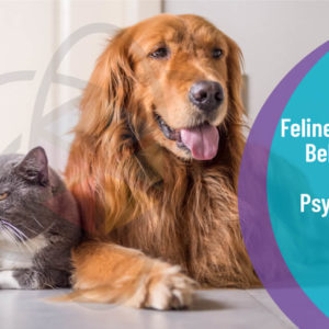 Canine Behaviour and Psychology Level 3