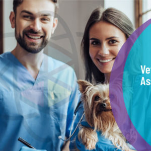 Veterinary Assistant Diploma Level 3
