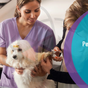 Complete Pet Care Training - Pet First Aid, CPR and Pet Business Certificate - Level 3