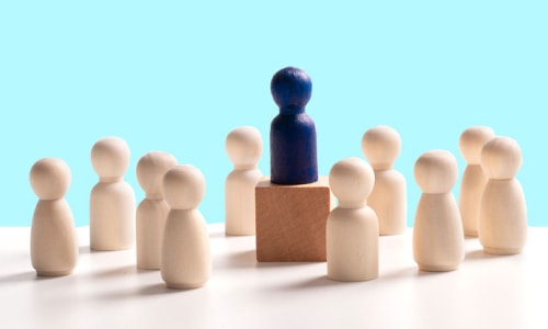 Leadership Skills For Organisational Development