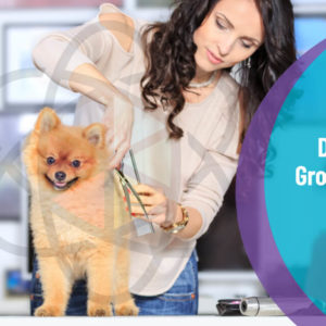 Dog Groomer Training Diploma