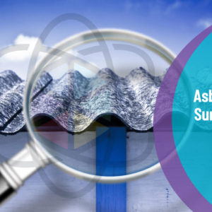 Asbestos Surveyor Training