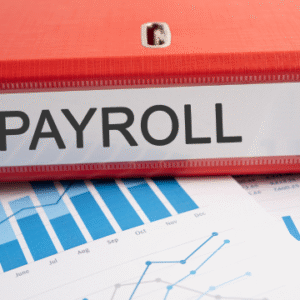 HR and Payroll Management with Recruitment Consultant Diploma for HR and Payroll Administrator Course