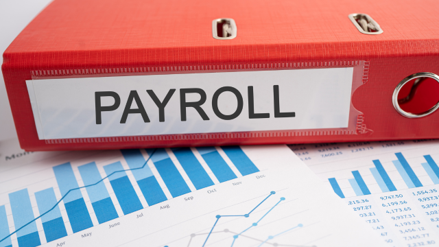 HR and Payroll Management with Recruitment Consultant Diploma for HR and Payroll Administrator Course