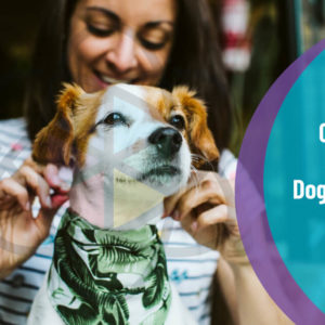Pet First Aid, CPR and Pet Business Diploma
