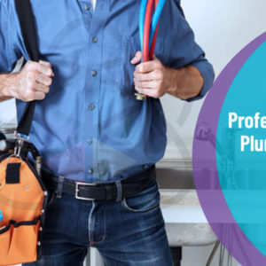 Professional Plumbing
