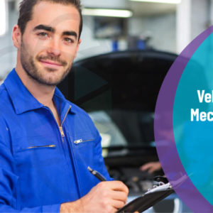 Online Vehicle Mechanic Bundle Course