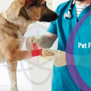 Pet First Aid