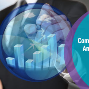 Compliance Analyst