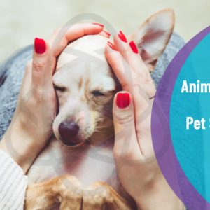Animal Care and Pet Sitting