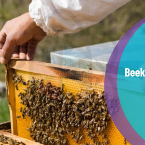 Beekeeping Course