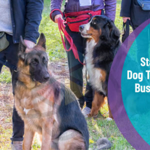 Dog Training - Start A Dog Training Business