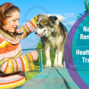 Dog Training - Natural Remedies for Health & Dog Training