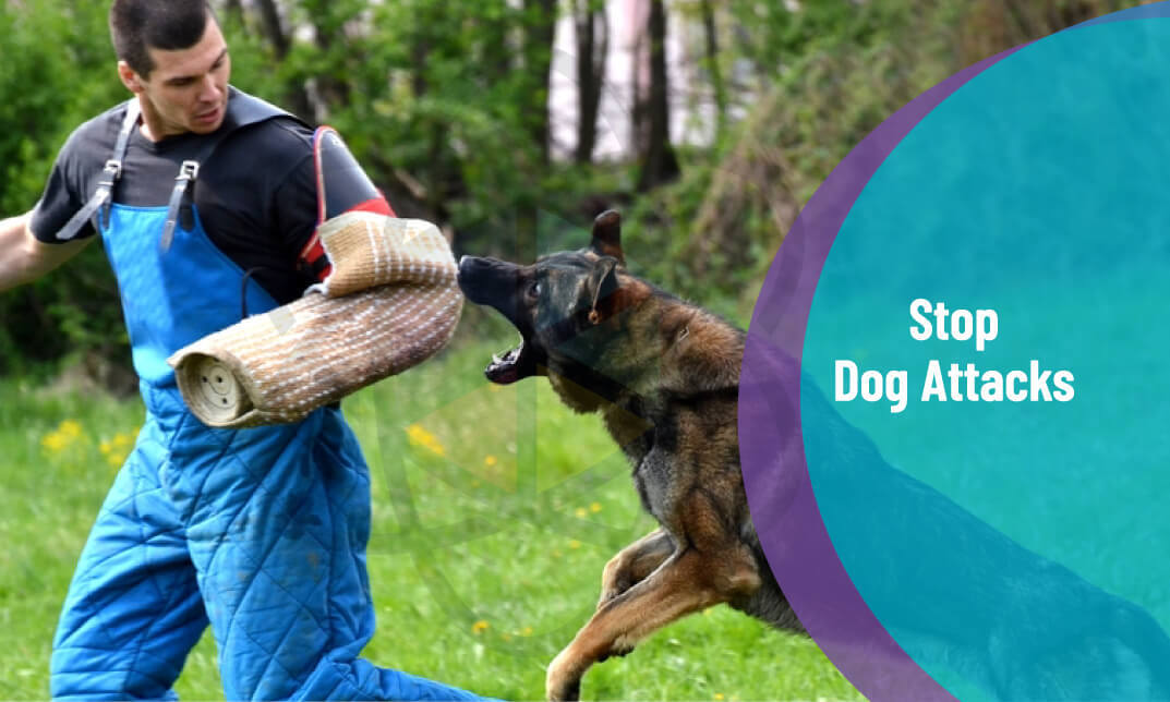 Dog Training - Stop Dog Attacks