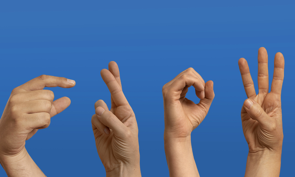 British Sign Language (BSL) Basics – Skill Wise