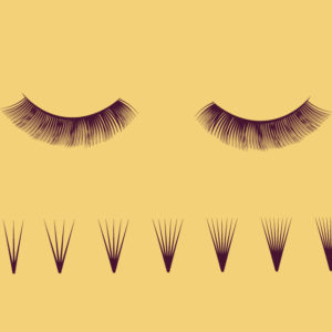 Professional Eyelash Extension Course