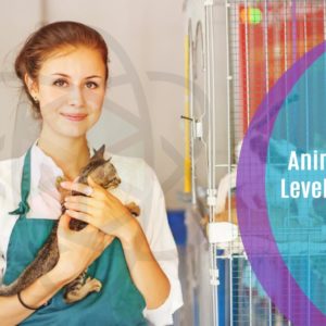 Animal Care Level 3 Course