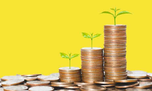 Financial Wellness: Managing Personal Cash Flow