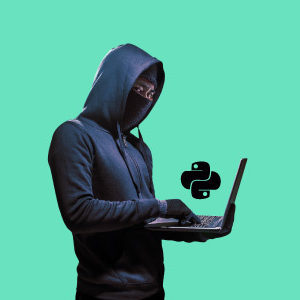 The Complete Python Hacking Course: Beginner to Advanced!