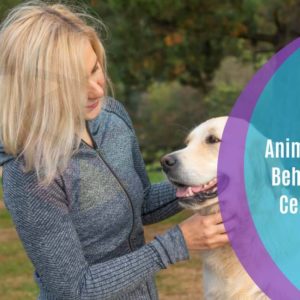 Animal Carer & Behaviourist Certificate