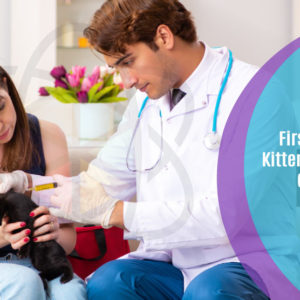 First Aid for Kittens and Cats Course- Level 3