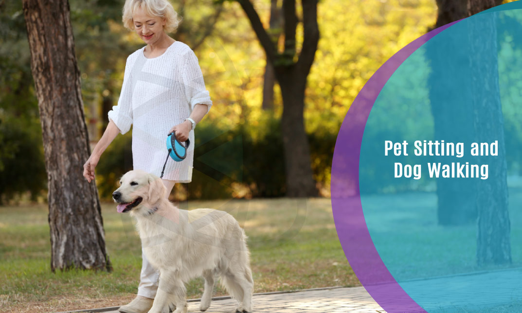 Pet Sitting and Dog Walking