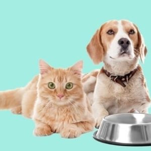 Animal Behaviour, Psychology, Care, Health and Nutrition- Complete Course
