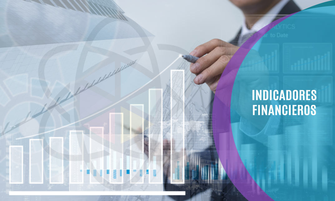 Indicadores Financieros