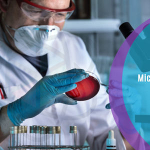 Microbiology Diploma