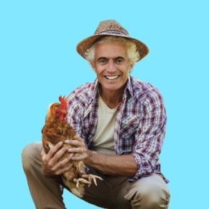 Diploma in Poultry Farming