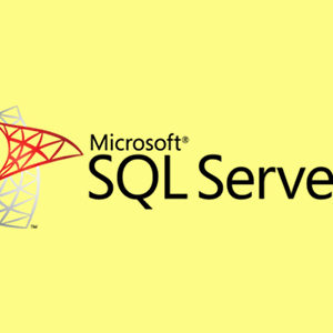 SQL Server : Basic Microsoft SQL Server