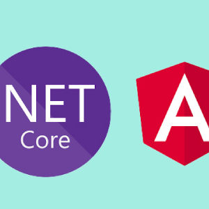 Docker for .Net and Angular Developers