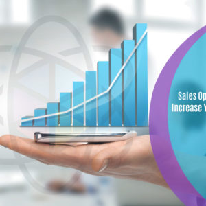 Sales Optimization Skills: Increase Your Sales by 200%