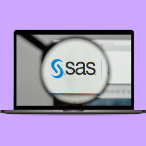 SAS Programming Basic to Advanced
