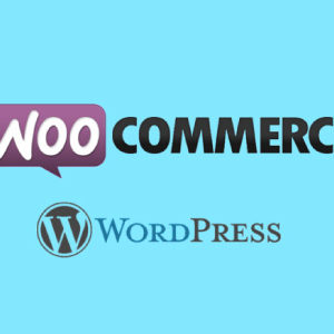 Make a Wordpress WooCommerce Amazon Affiliate Store