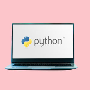 Python Programming: Beginner To Expert