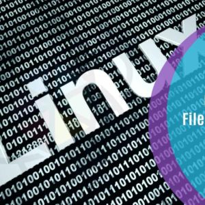 Linux File System
