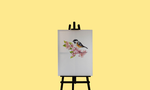 Draw Birds with Water Colour