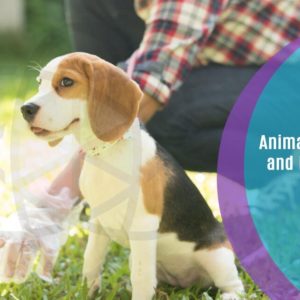 Animal Behaviour and Psychology