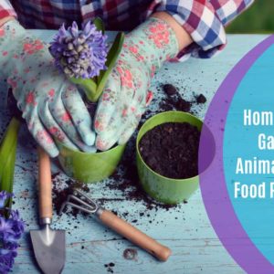 Homesteading: Gardening, Animal Keeping & Food Preservation
