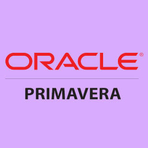 Primavera P6 for Beginners