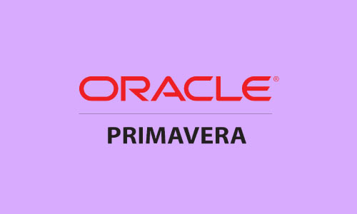 Primavera P6 for Beginners