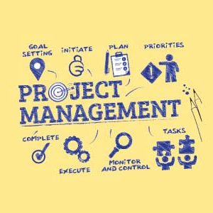 Practical Project Management