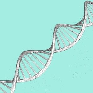 DNA and Genealogy Course