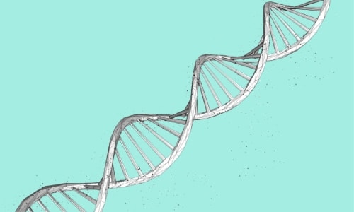 DNA and Genealogy Course