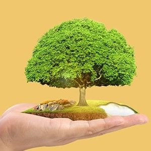 Conservation Diploma Course