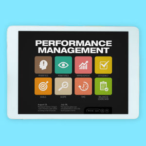 Business Performance Management